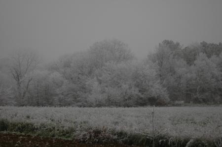 hiver (3)