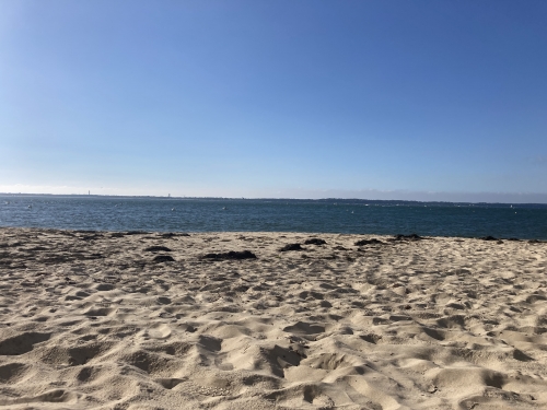 IMG_0500.jpeg