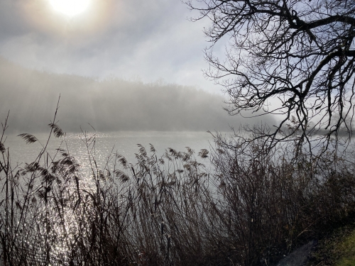 IMG_5310.jpeg
