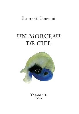 Laurent Fourcaut, un morceau de ciel : recension