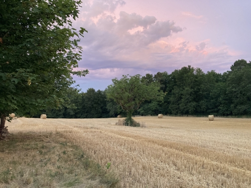 IMG_5999.jpeg