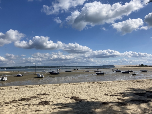 IMG_0856.jpeg