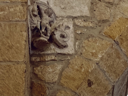 IMG_1219.jpeg