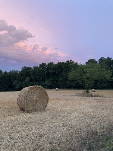 IMG_5996.jpeg